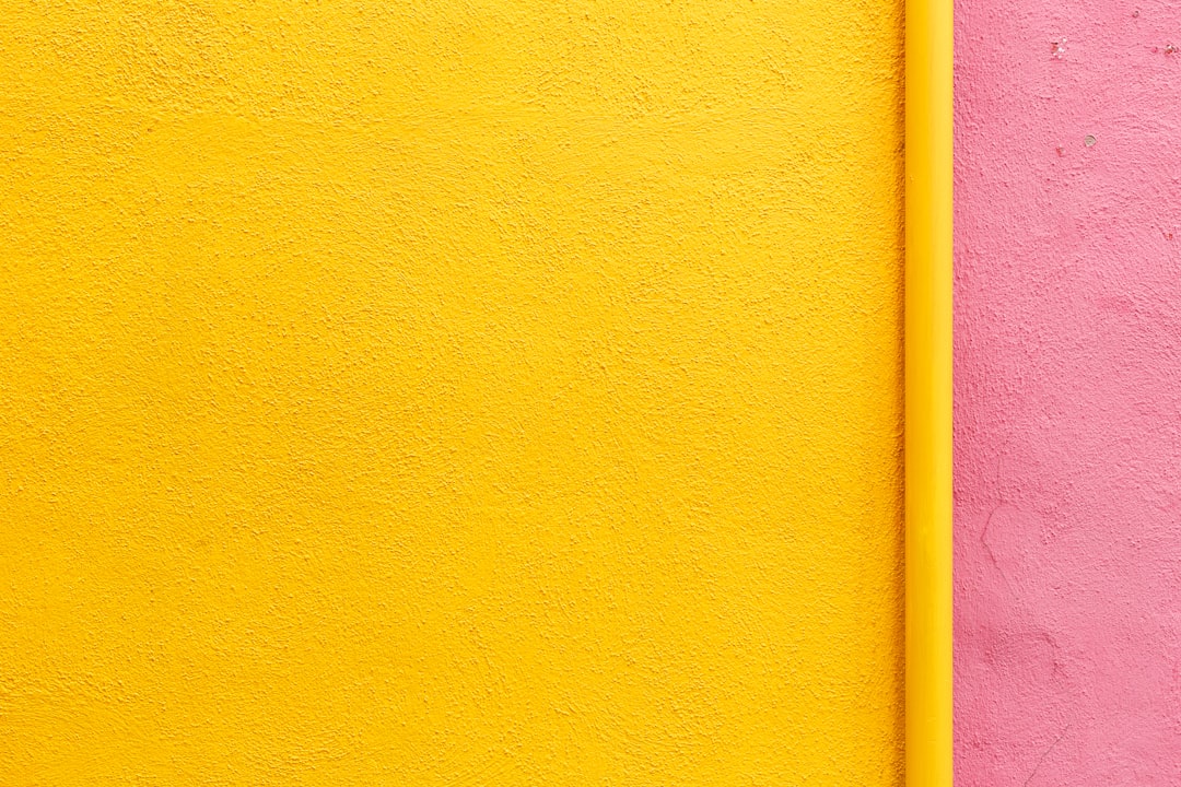 Dachshund Colors: Exploring the Spectrum of this Adorable Breed